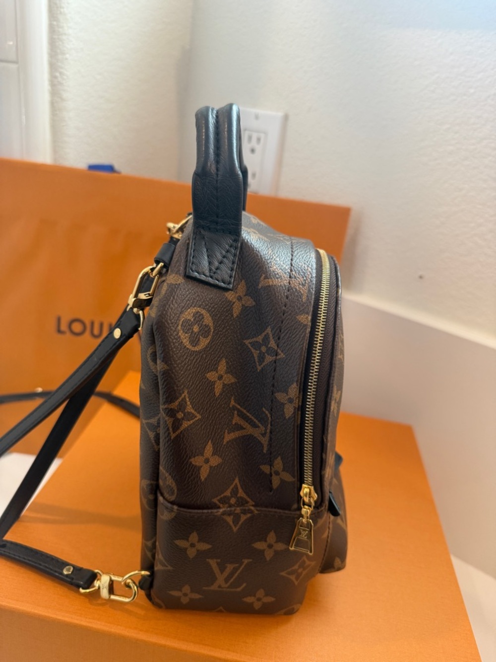 Louis Vuitton Palm Springs Mini Backpack Monogram Canvas Reverse Bag - Picture 5 of 6